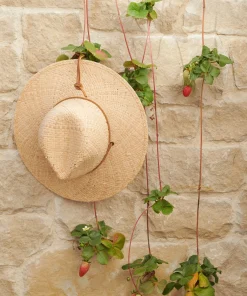 Safari Hat